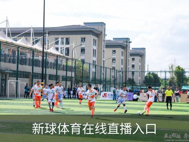 了解新球体育在线直播入口